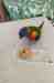 Lory / Lorikeet