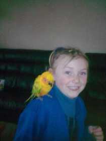 Lost Conure