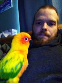 Lost Conure