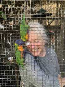 Lost Lory / Lorikeet