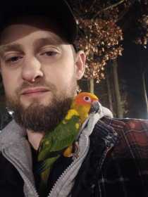 Lost Conure