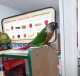 Conure